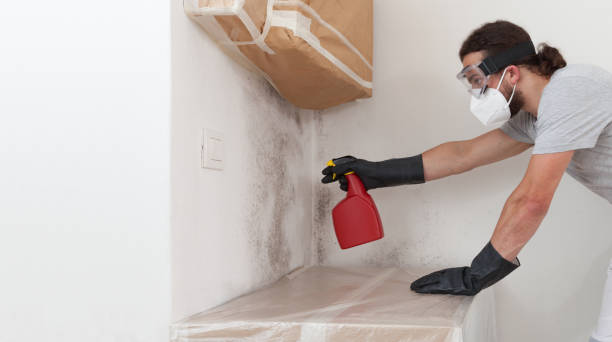 Professional Crawl Space Mold Remediation technician working in Dallas, NC